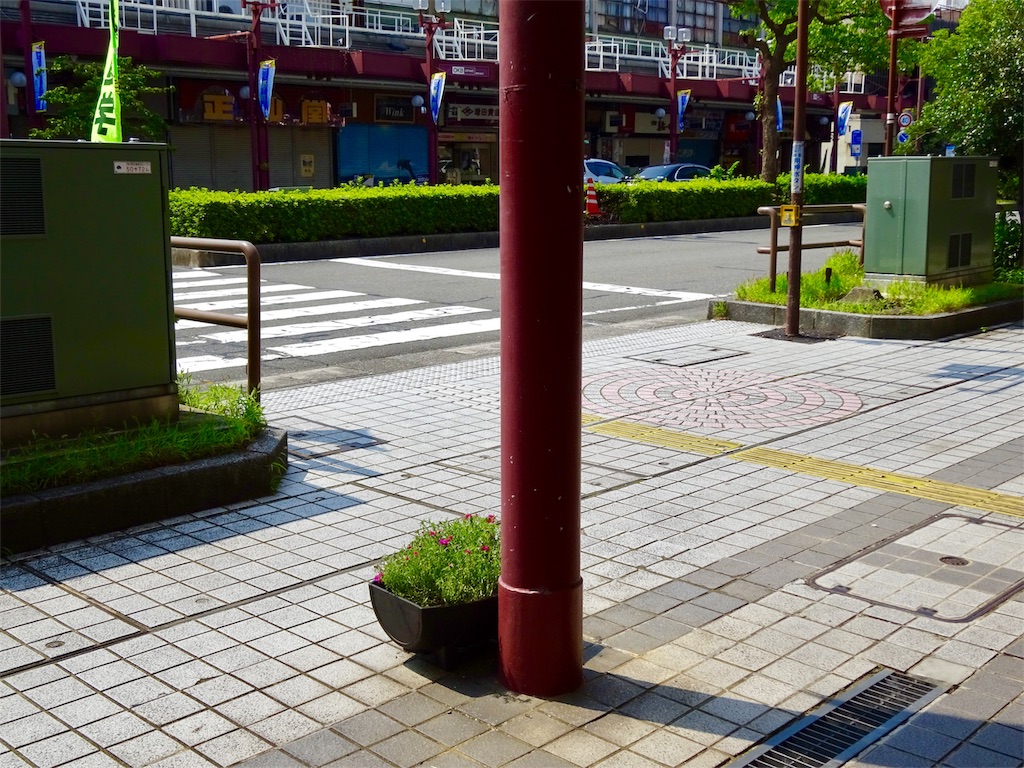 f:id:nichinichisou0808:20190731205042j:image f:id:nichinichisou0808:20190731205042j:image