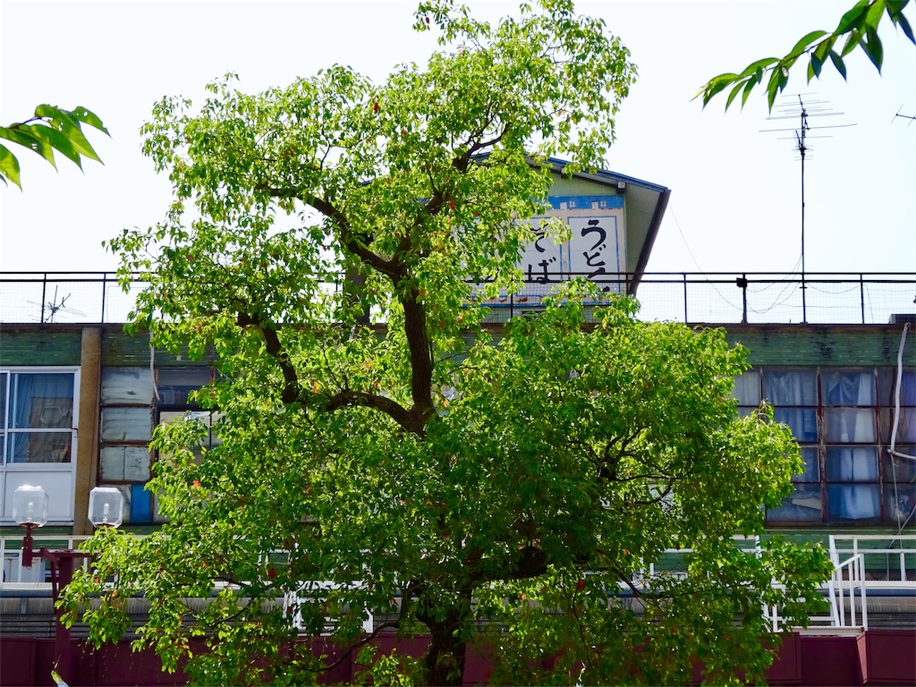 f:id:nichinichisou0808:20190731205052j:image f:id:nichinichisou0808:20190731205052j:image