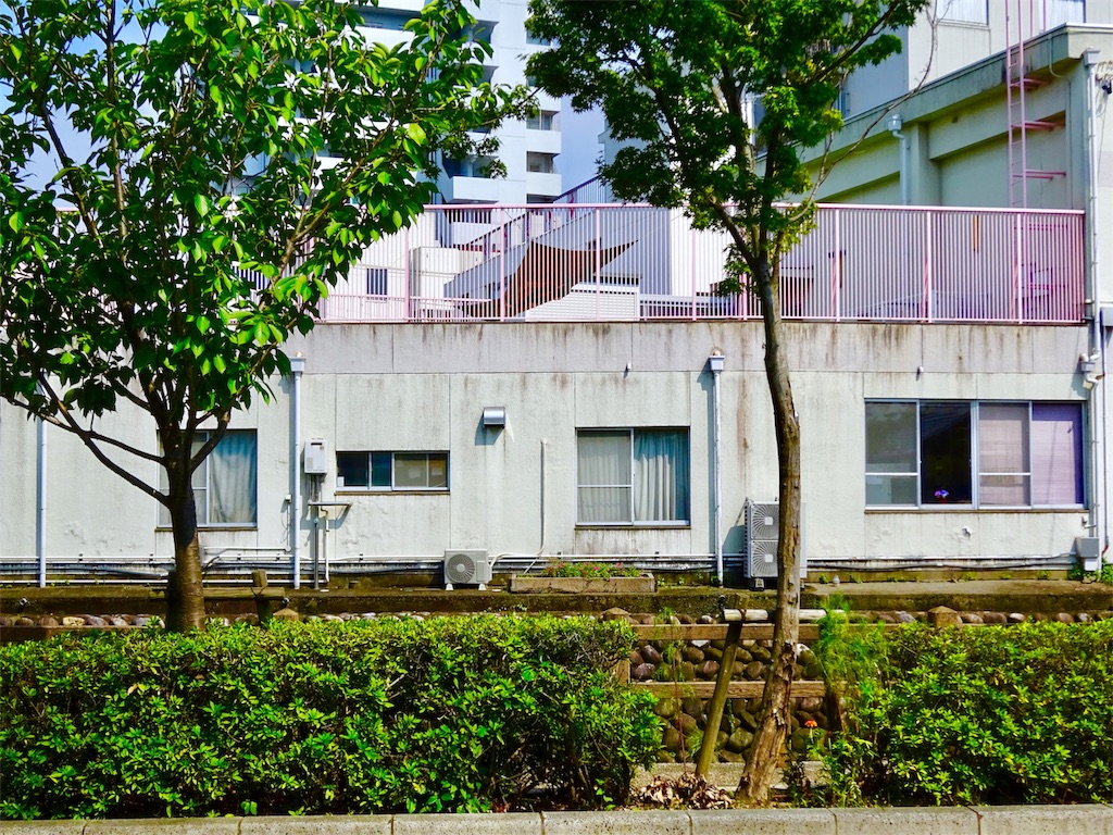 f:id:nichinichisou0808:20190731205428j:image f:id:nichinichisou0808:20190731205428j:image