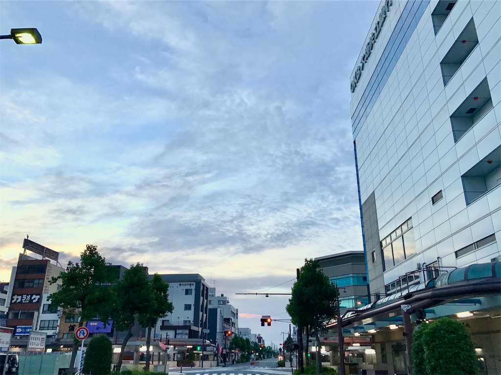 f:id:nichinichisou0808:20190801205556j:image f:id:nichinichisou0808:20190801205556j:image