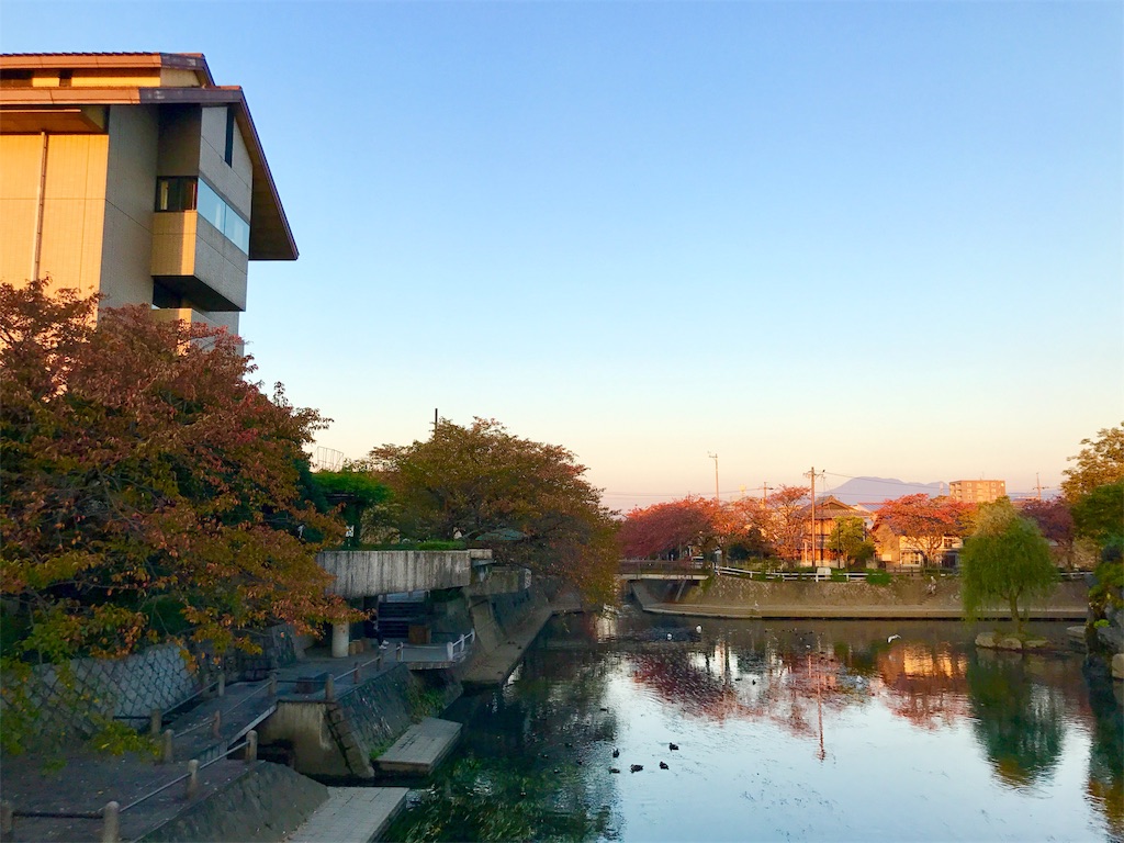f:id:nichinichisou0808:20190903021553j:image