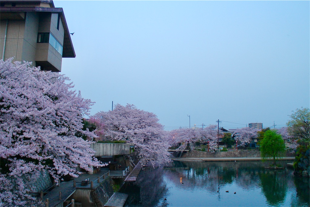 f:id:nichinichisou0808:20190903021637j:image
