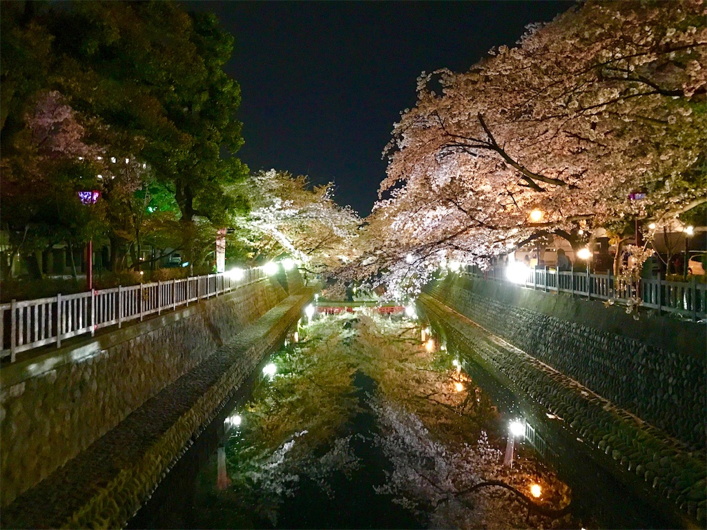 f:id:nichinichisou0808:20190903022552j:image
