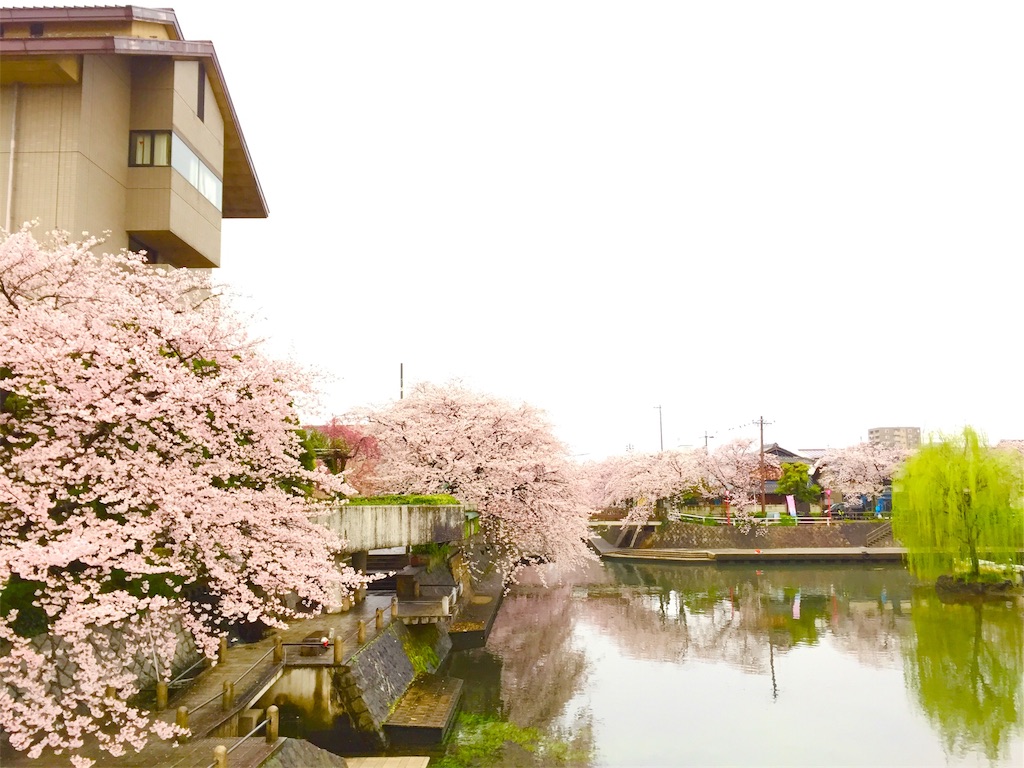 f:id:nichinichisou0808:20190903070912j:image
