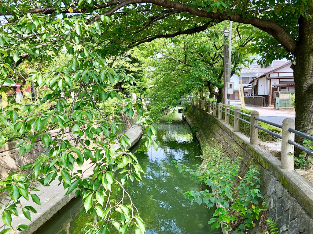 f:id:nichinichisou0808:20190905175833j:image