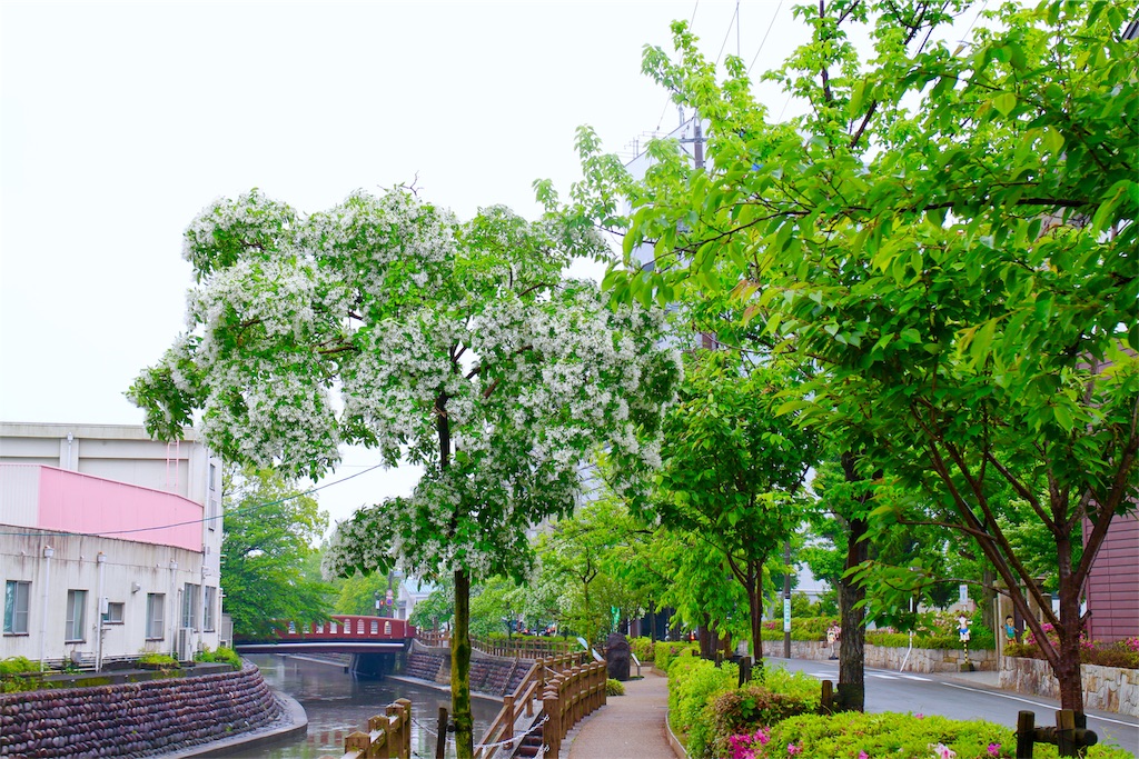 f:id:nichinichisou0808:20190905203610j:image