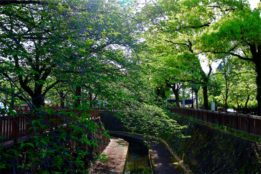 f:id:nichinichisou0808:20190905224357j:image