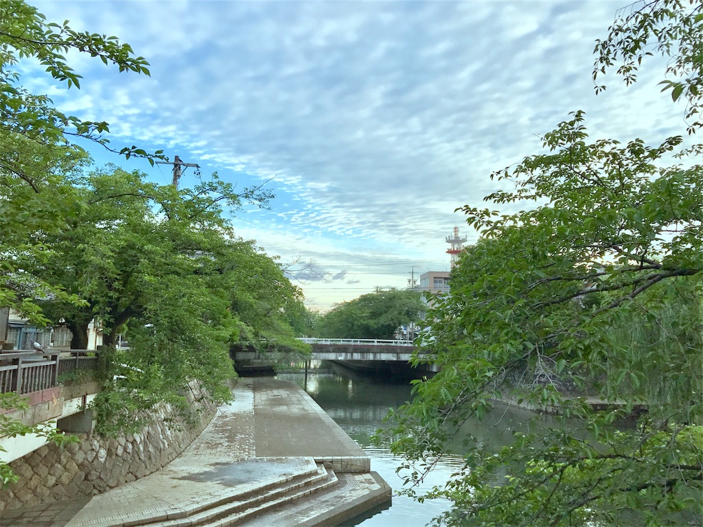 f:id:nichinichisou0808:20190913113219j:image
