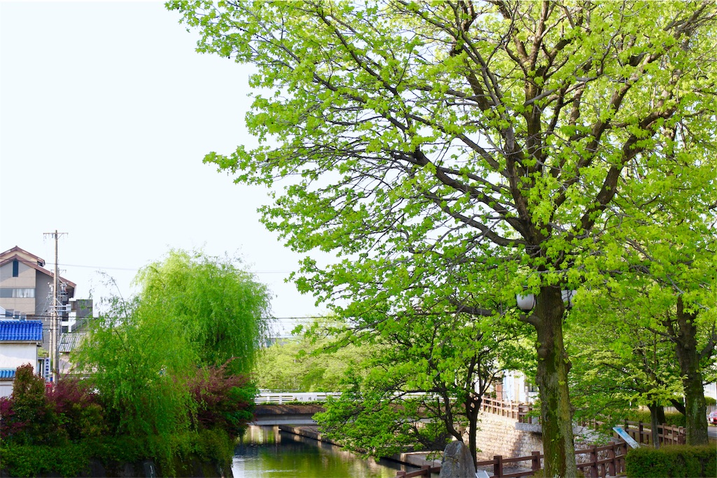 f:id:nichinichisou0808:20190914170927j:image f:id:nichinichisou0808:20190914170927j:image
