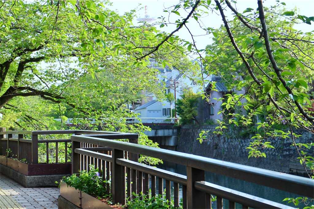 f:id:nichinichisou0808:20190920172536j:image f:id:nichinichisou0808:20190920172536j:image