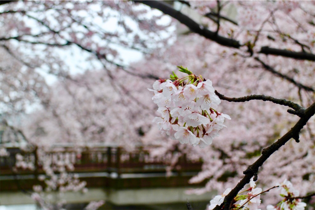 f:id:nichinichisou0808:20190921161749j:image f:id:nichinichisou0808:20190921161749j:image