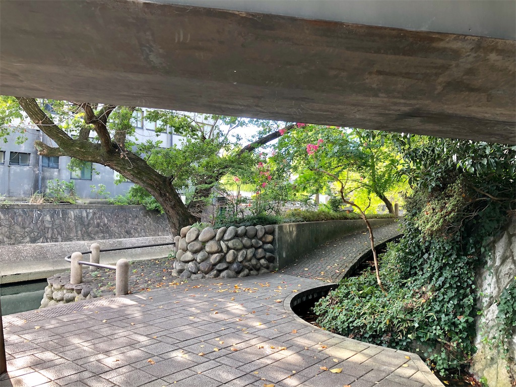 f:id:nichinichisou0808:20190924072150j:image f:id:nichinichisou0808:20190924072150j:image