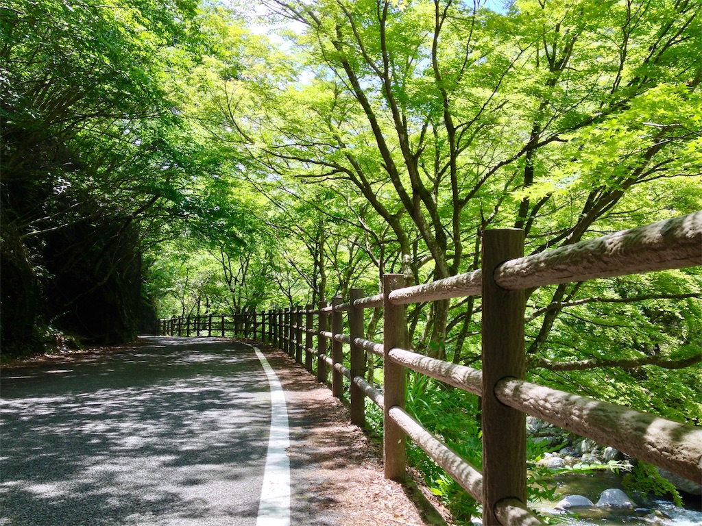 f:id:nichinichisou0808:20190925115740j:image f:id:nichinichisou0808:20190925115740j:image
