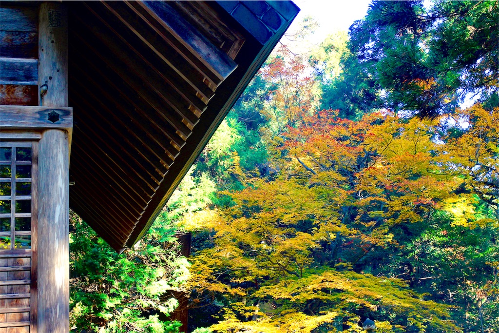 f:id:nichinichisou0808:20190926200625j:image