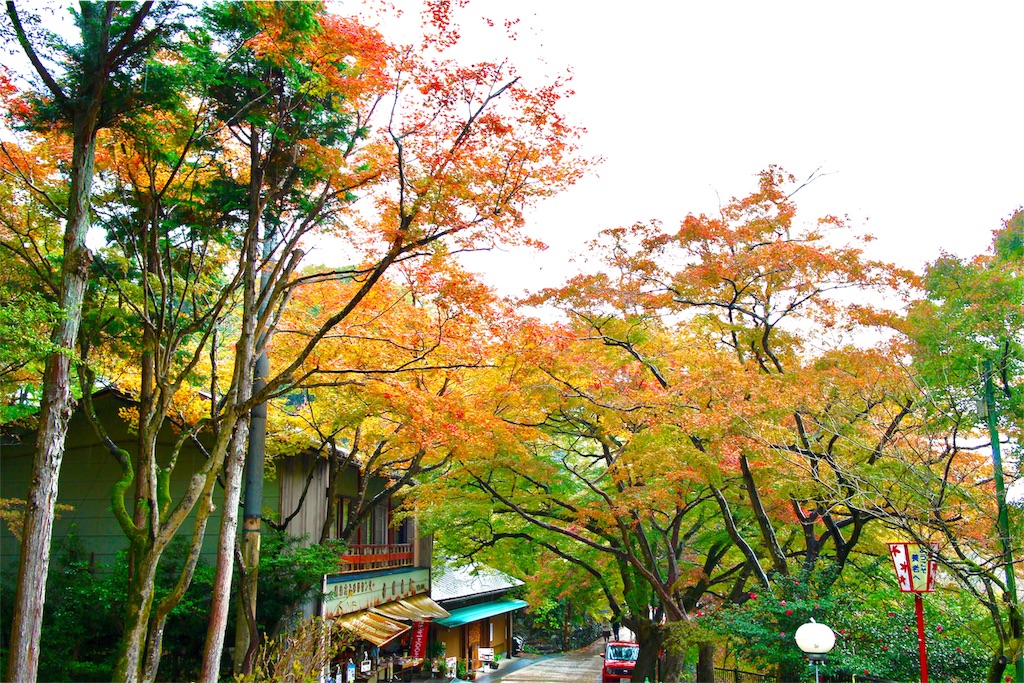 f:id:nichinichisou0808:20190926202246j:image