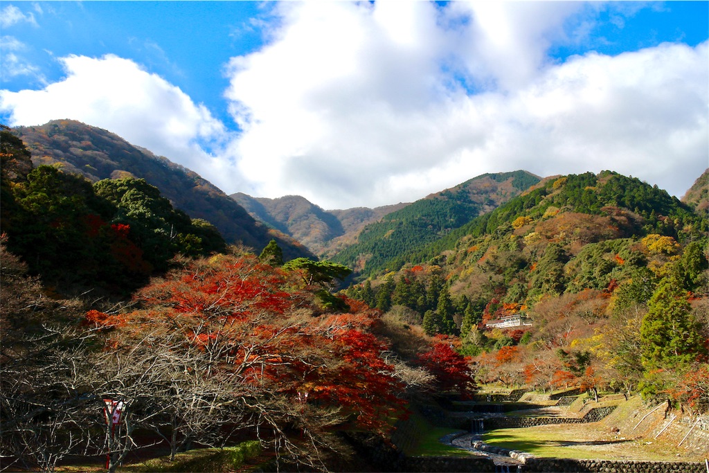 f:id:nichinichisou0808:20190926205009j:image