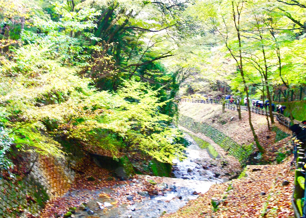 f:id:nichinichisou0808:20190926205457j:image