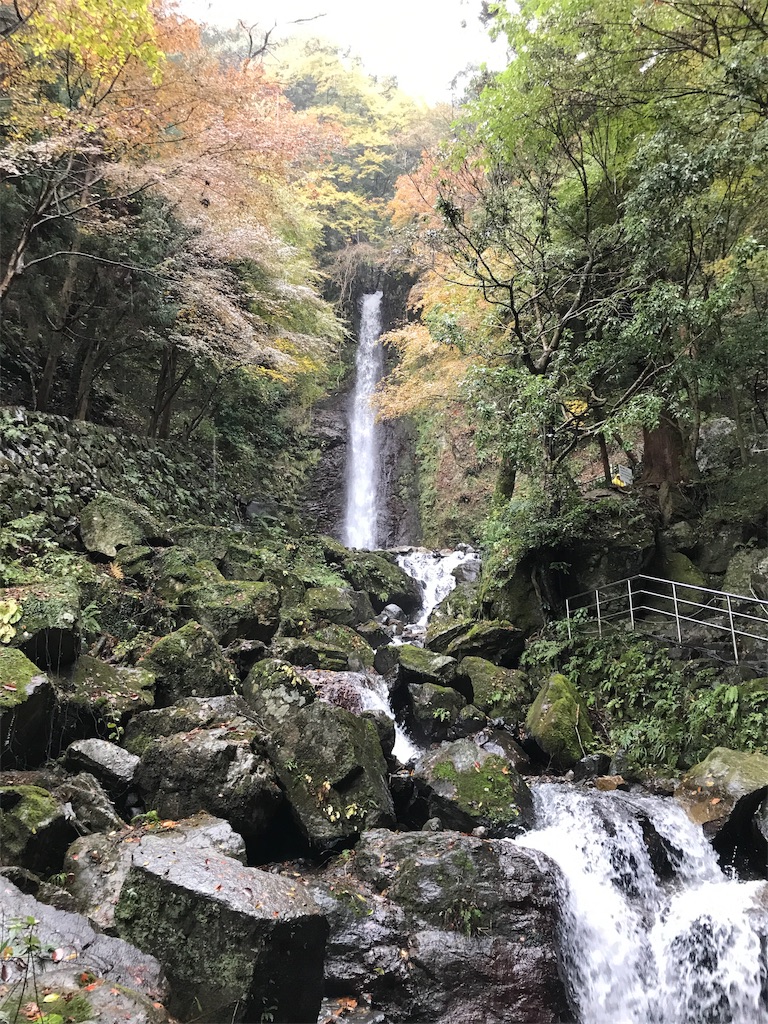 f:id:nichinichisou0808:20190927065020j:image f:id:nichinichisou0808:20190927065020j:image