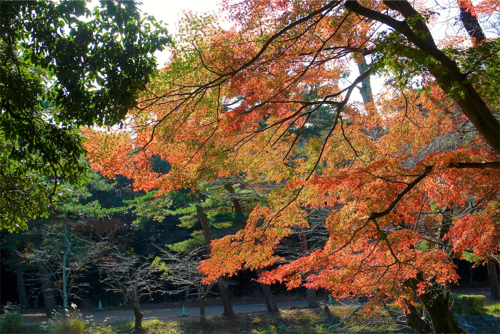 f:id:nichinichisou0808:20190928030709j:image