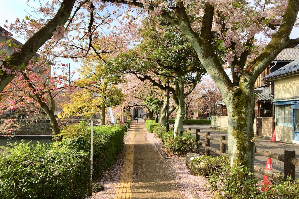 f:id:nichinichisou0808:20191001055428j:image f:id:nichinichisou0808:20191001055428j:image