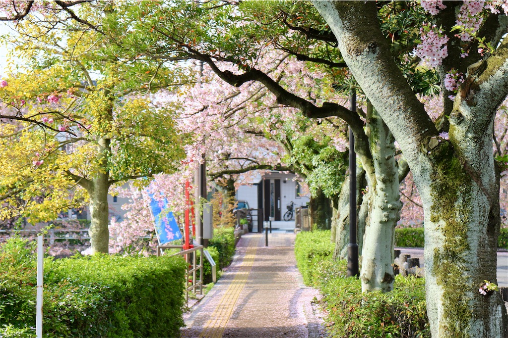 f:id:nichinichisou0808:20191001055519j:image f:id:nichinichisou0808:20191001055519j:image