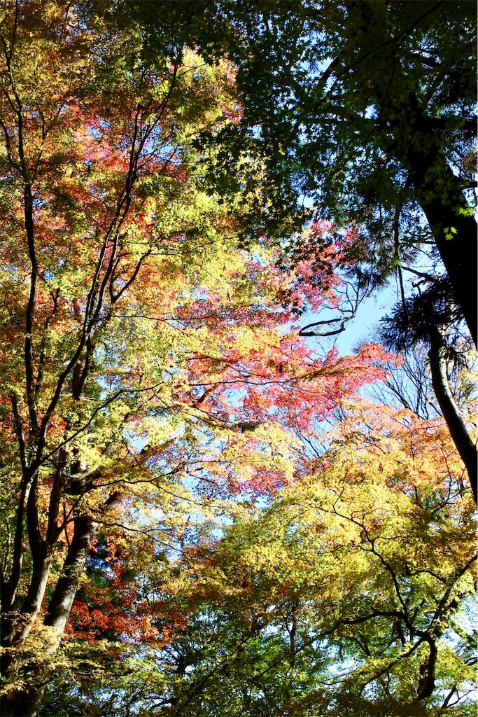 f:id:nichinichisou0808:20191002004839j:image