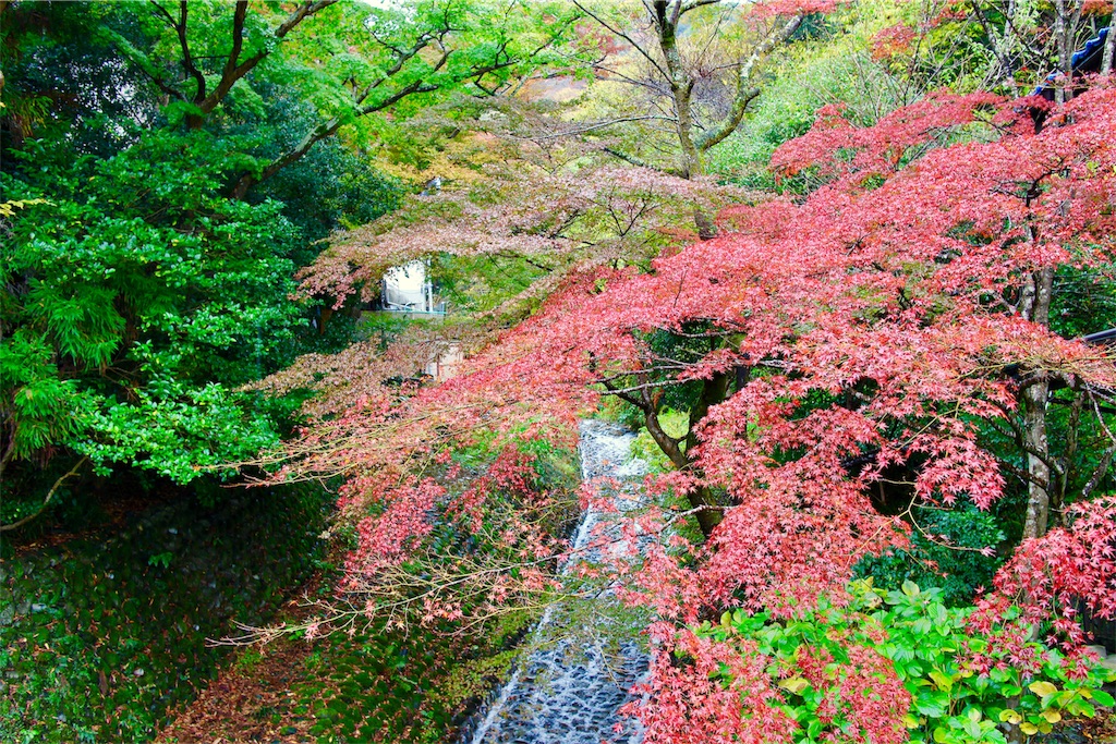 f:id:nichinichisou0808:20191002021749j:image