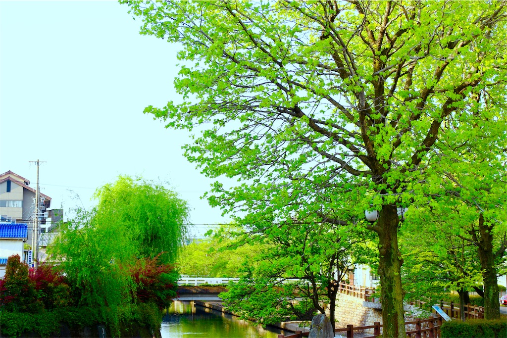 f:id:nichinichisou0808:20191004194135j:plain f:id:nichinichisou0808:20191004194135j:plain