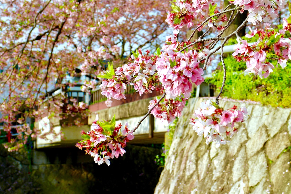 f:id:nichinichisou0808:20191012014252j:plain f:id:nichinichisou0808:20191012014252j:plain