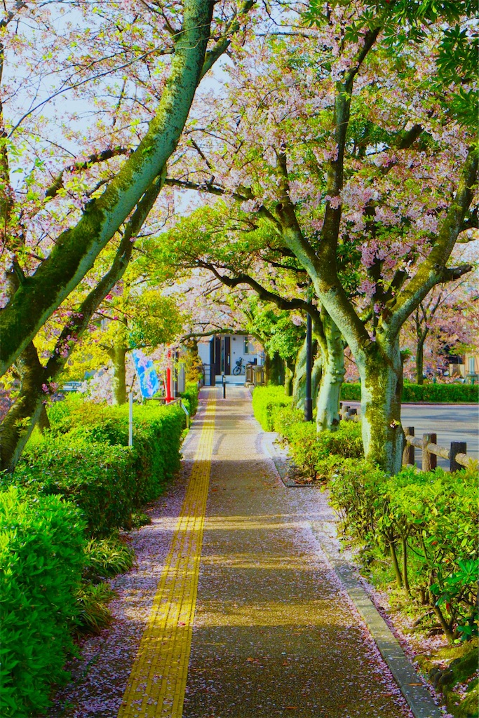 f:id:nichinichisou0808:20191012014414j:plain f:id:nichinichisou0808:20191012014414j:plain