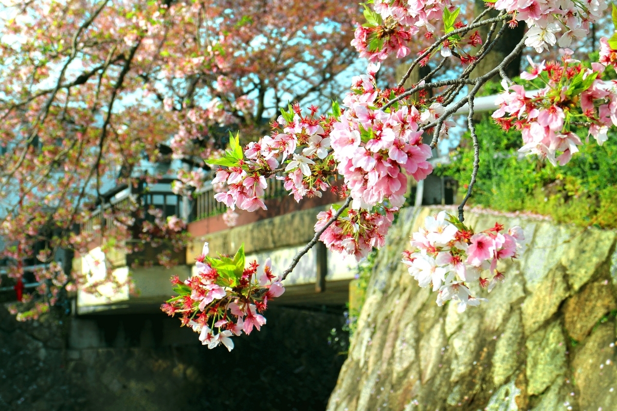 f:id:nichinichisou0808:20191012100804j:plain f:id:nichinichisou0808:20191012100804j:plain