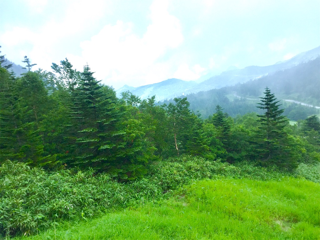 f:id:nichinichisou0808:20191016010618j:image f:id:nichinichisou0808:20191016010618j:image