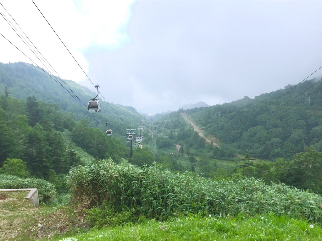 f:id:nichinichisou0808:20191016012545j:image f:id:nichinichisou0808:20191016012545j:image