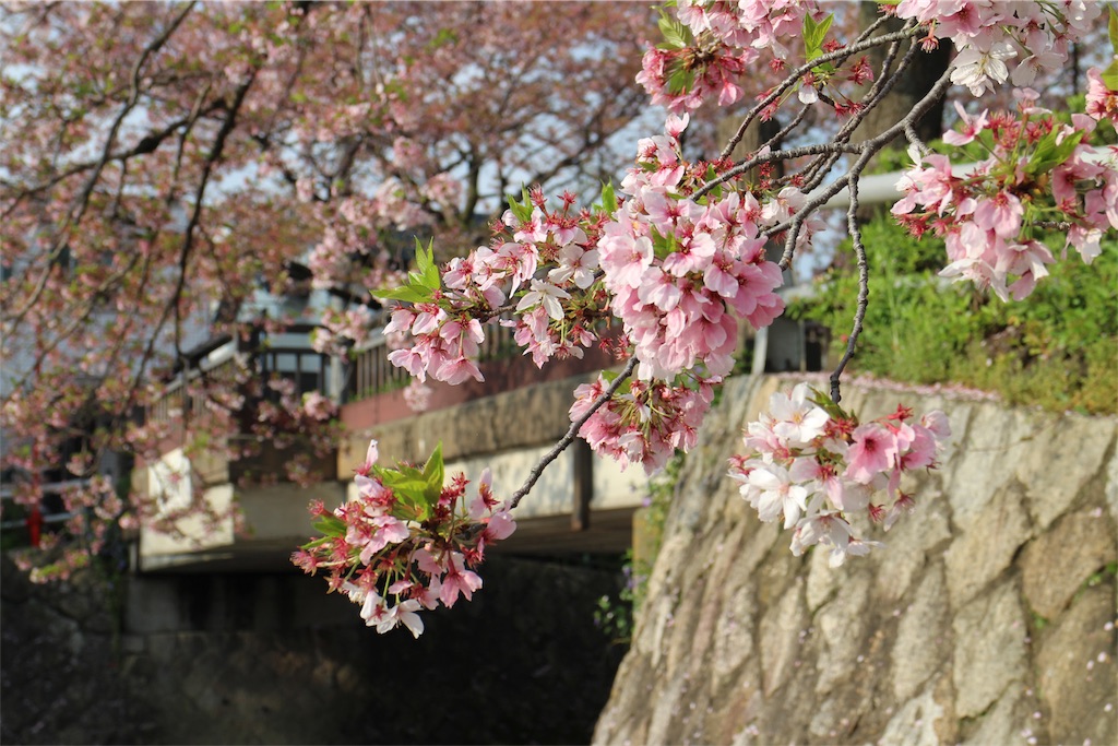 f:id:nichinichisou0808:20191219045121j:image f:id:nichinichisou0808:20191219045121j:image