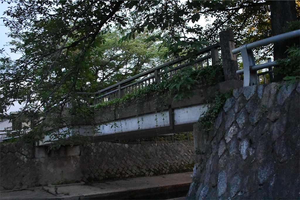 f:id:nichinichisou0808:20191219051005j:image f:id:nichinichisou0808:20191219051005j:image