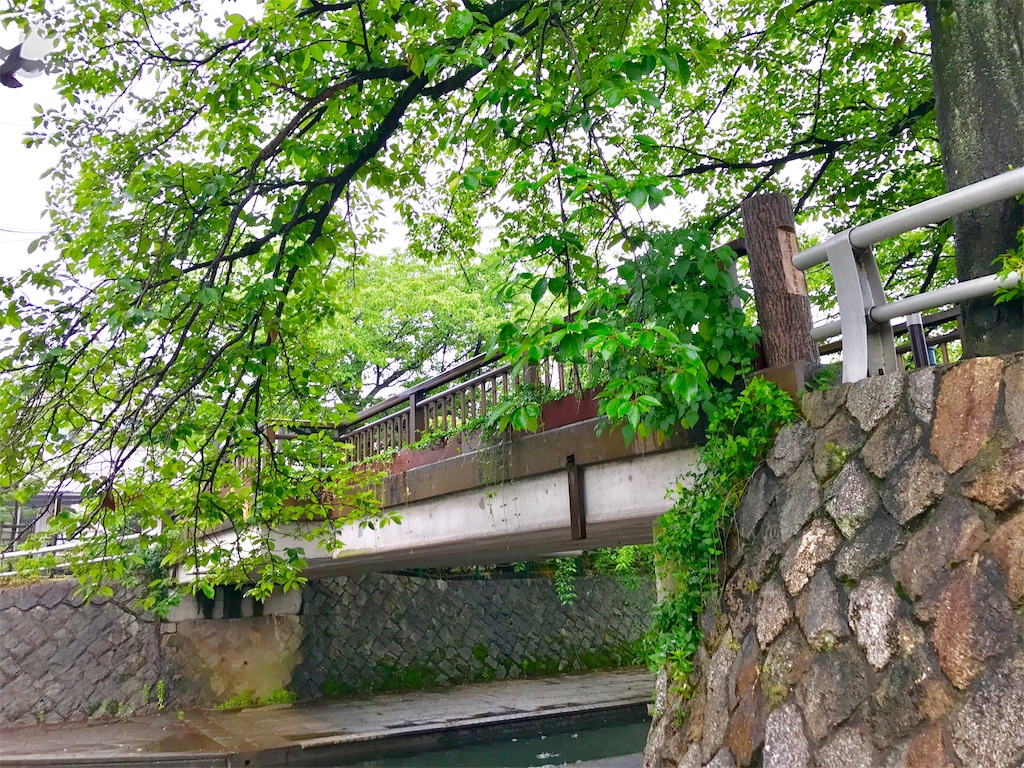 f:id:nichinichisou0808:20191219104737j:image f:id:nichinichisou0808:20191219104737j:image