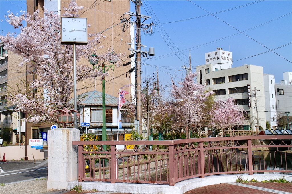 f:id:nichinichisou0808:20191219130208j:image f:id:nichinichisou0808:20191219130208j:image