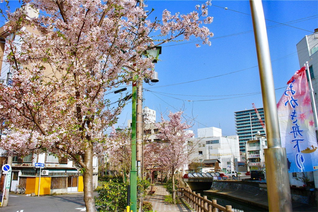 f:id:nichinichisou0808:20191219130212j:image f:id:nichinichisou0808:20191219130212j:image