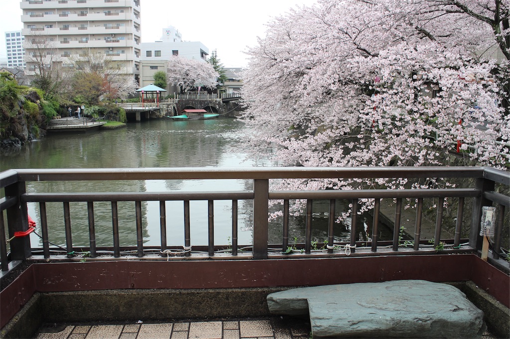f:id:nichinichisou0808:20191230043336j:image f:id:nichinichisou0808:20191230043336j:image