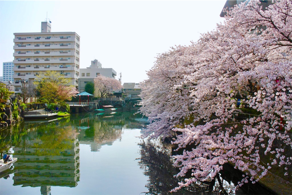 f:id:nichinichisou0808:20191230054729j:image f:id:nichinichisou0808:20191230054729j:image