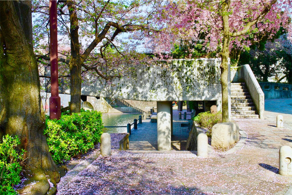 f:id:nichinichisou0808:20191230071855j:image f:id:nichinichisou0808:20191230071855j:image