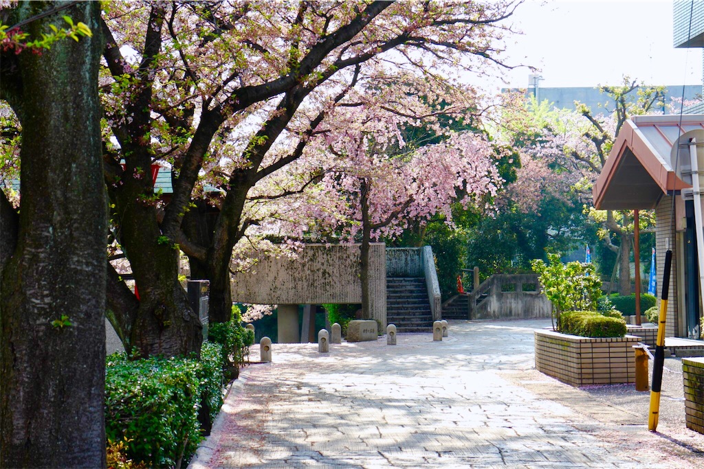 f:id:nichinichisou0808:20191230071900j:image f:id:nichinichisou0808:20191230071900j:image