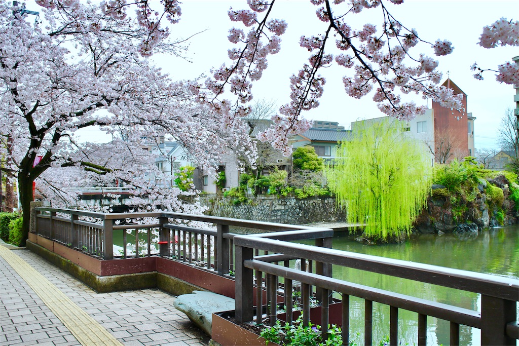 f:id:nichinichisou0808:20200102021411j:plain f:id:nichinichisou0808:20200102021411j:plain
