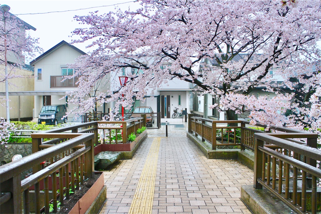 f:id:nichinichisou0808:20200102021421j:plain f:id:nichinichisou0808:20200102021421j:plain