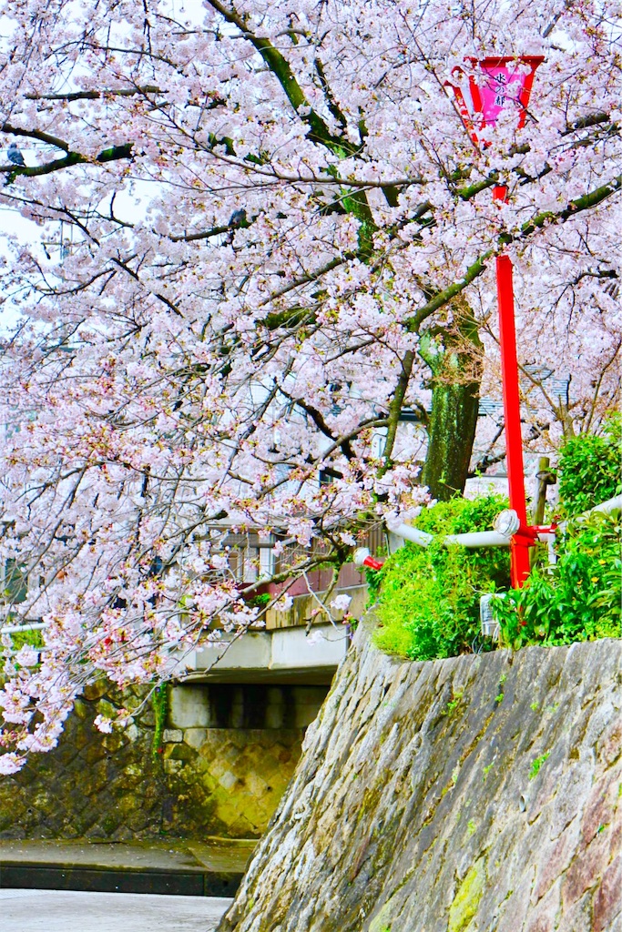 f:id:nichinichisou0808:20200102080038j:plain f:id:nichinichisou0808:20200102080038j:plain