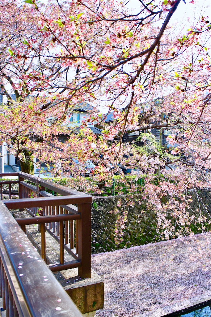 f:id:nichinichisou0808:20200102080108j:plain f:id:nichinichisou0808:20200102080108j:plain