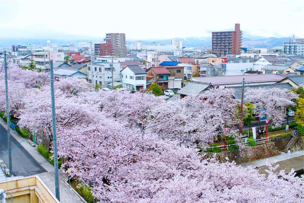 f:id:nichinichisou0808:20200102234140j:plain f:id:nichinichisou0808:20200102234140j:plain