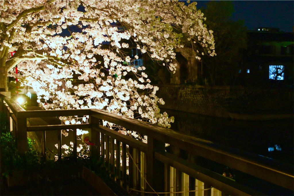 f:id:nichinichisou0808:20200102234149j:plain f:id:nichinichisou0808:20200102234149j:plain