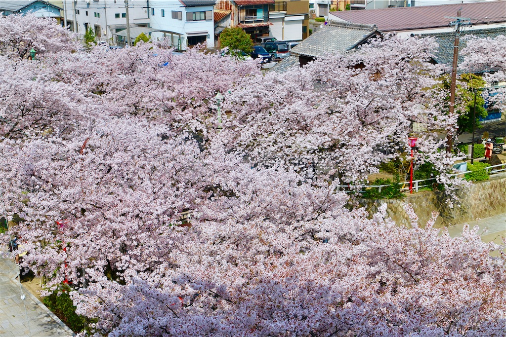 f:id:nichinichisou0808:20200102234500j:plain f:id:nichinichisou0808:20200102234500j:plain