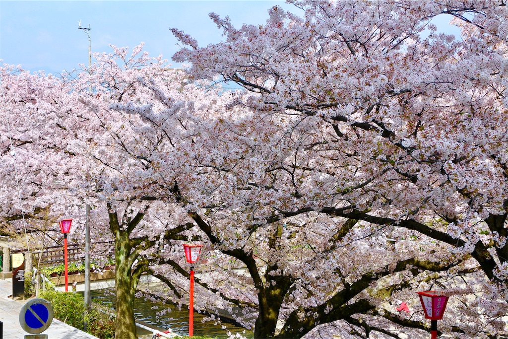 f:id:nichinichisou0808:20200102234512j:plain f:id:nichinichisou0808:20200102234512j:plain